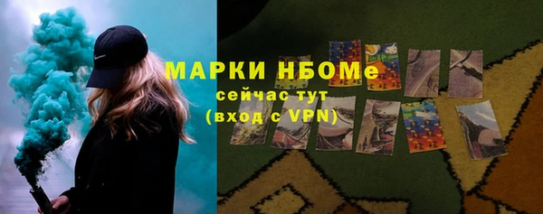 сатива Чердынь