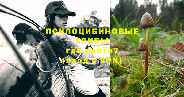 круглые Белокуриха