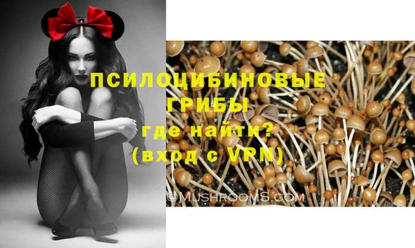 прущие грибы Беломорск