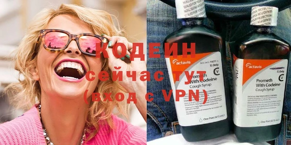 индика Чегем