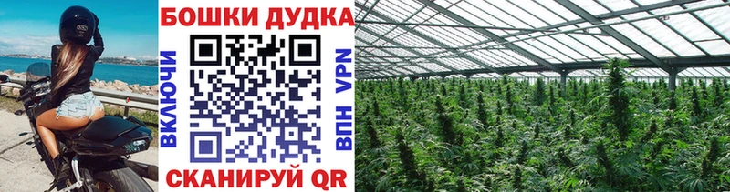 купить   Курильск  Бошки марихуана тримм 